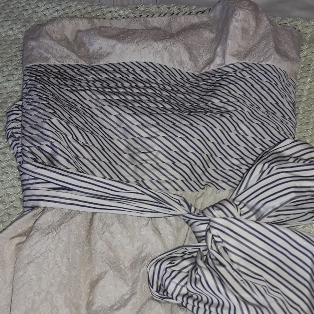 BCBG  Maxazria Dress